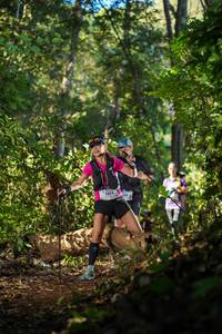 BIB: 1363, 309
                            <button type="button" onclick="openModal(19230539)" class="btn btn-primary btn-sm float-right btn-popup" data-toggle="modal" data-target=".modal-high-quality">
                        <i class="fas fa-shopping-cart"></i> Add to Cart
                    </button>
                                            <button type="button" onclick="isThisMe(19230539, true)" class="btn btn-success btn-sm float-right btn-popup btn-isme hidden" data-toggle="tooltip" data-placement="bottom" title="นี่คือรูปของคุณใช่ไหม คลิกที่นี่เพื่อเอาเข้าอัลบั้ม">
                        <i class="fas fa-plus"></i> Add to album
                    </button>
                    <button type="button" onclick="isThisMe(19230539, false)" class="btn btn-warning btn-sm float-right btn-popup btn-isnotme hidden">
                        <i class="fas fa-ban"></i> Remove from album
                    </button>